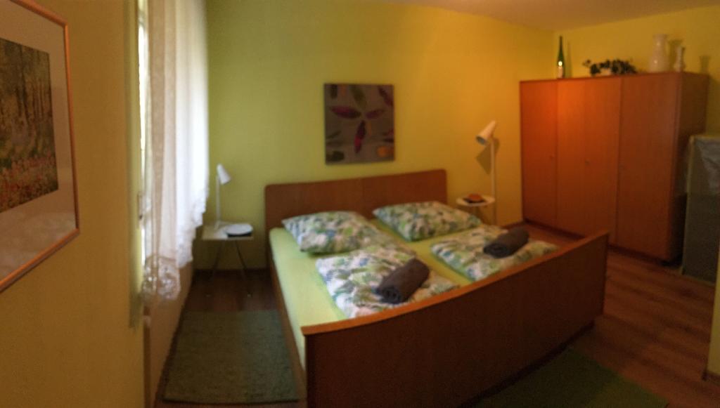 Large Wuerzburg Apartment Exterior foto